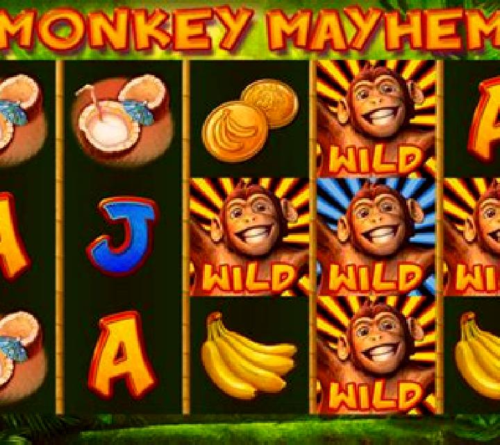 Monkey Mayhem slot