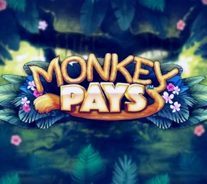 Monkey Pays slot machine