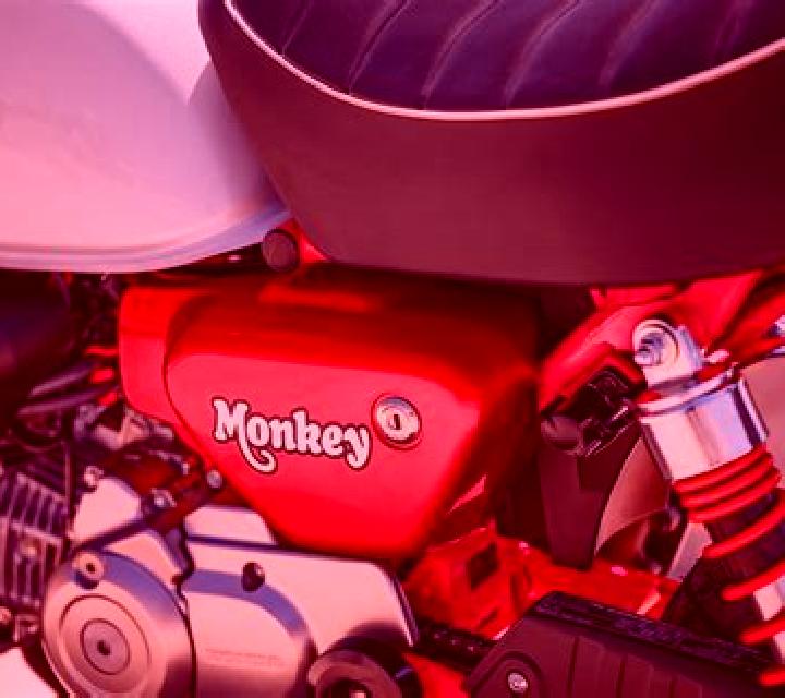 Monkey Power online slot