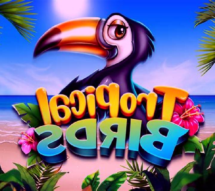 Monster Birds slot game