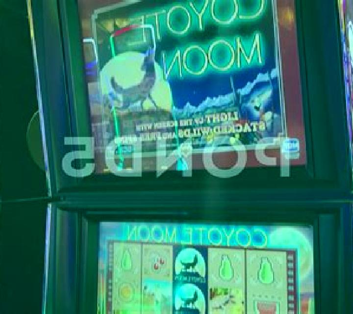Moon Bitten slot machine