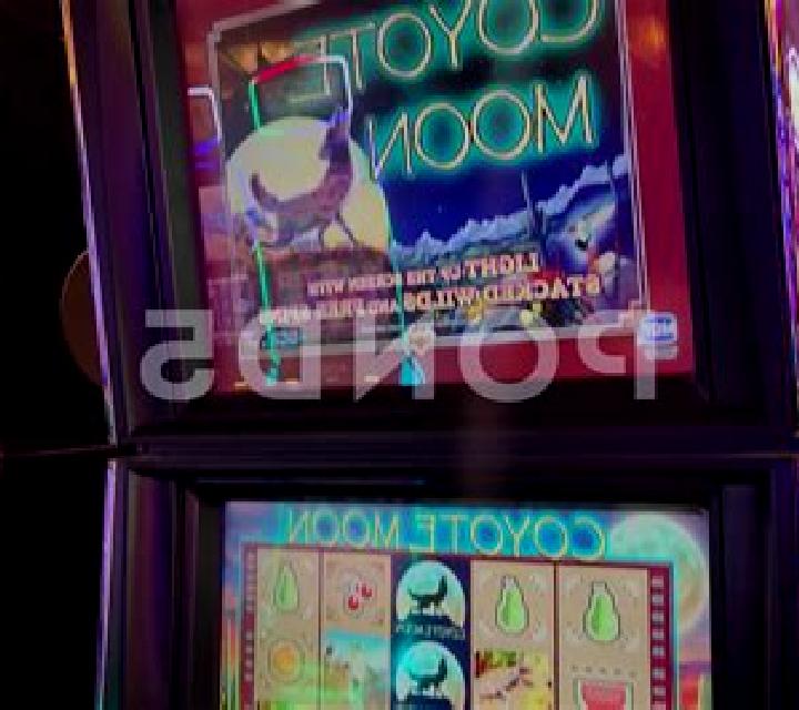 Moon Catcher slot machine