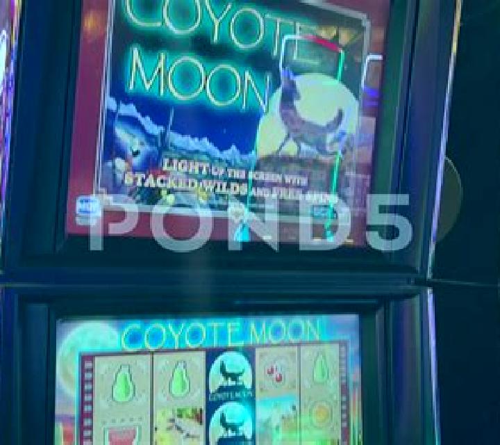 Moon Dog slot machine