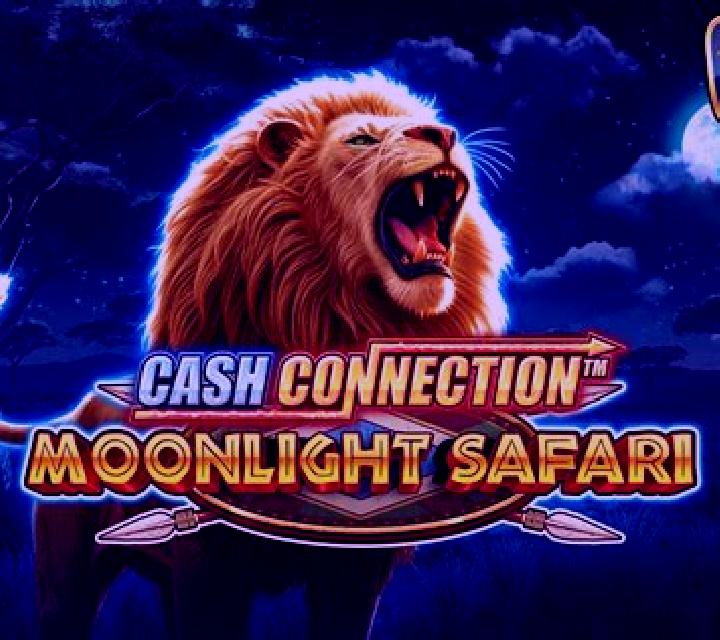 Moonlight Cats slot game