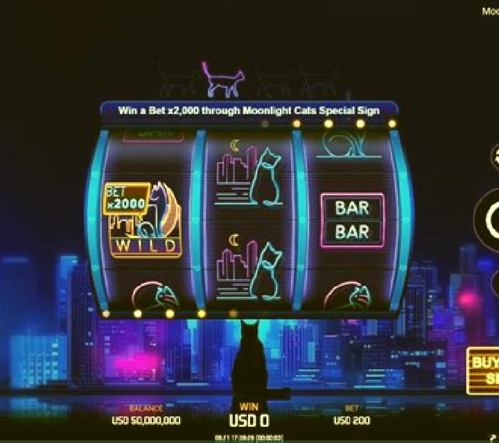 Moonlight Cats slot