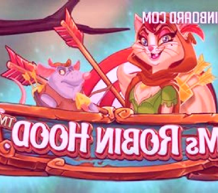 Ms Robin Hood slot game