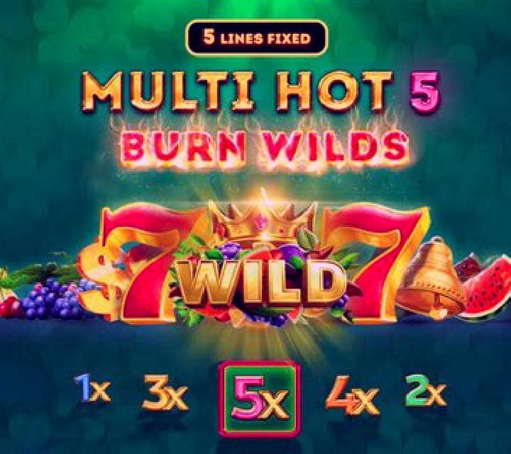 Multi Hot 5 Burn Wilds slot machine