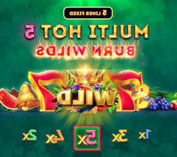 Multi Hot 5 Burn Wilds slot