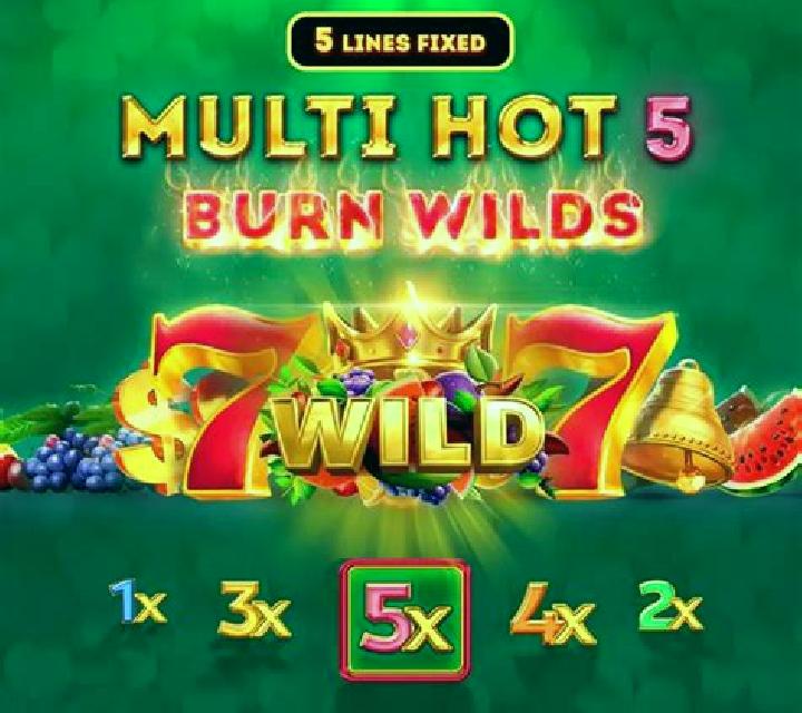 Multi Hot 5 Super Wilds slot