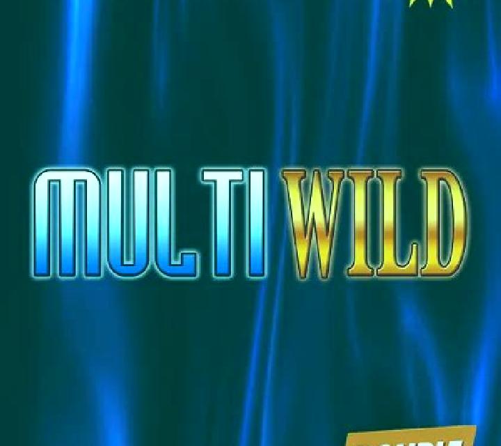 Multi Wild Double Play slot
