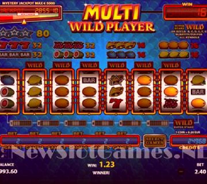 Multi Wild Player online slot
