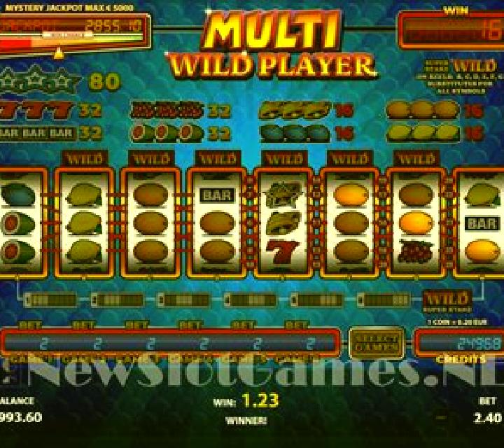 Multi Wild Player slot machine