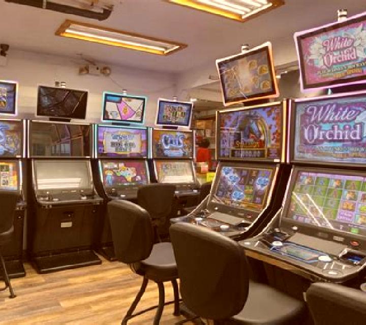 My Bingo Hall slot machine