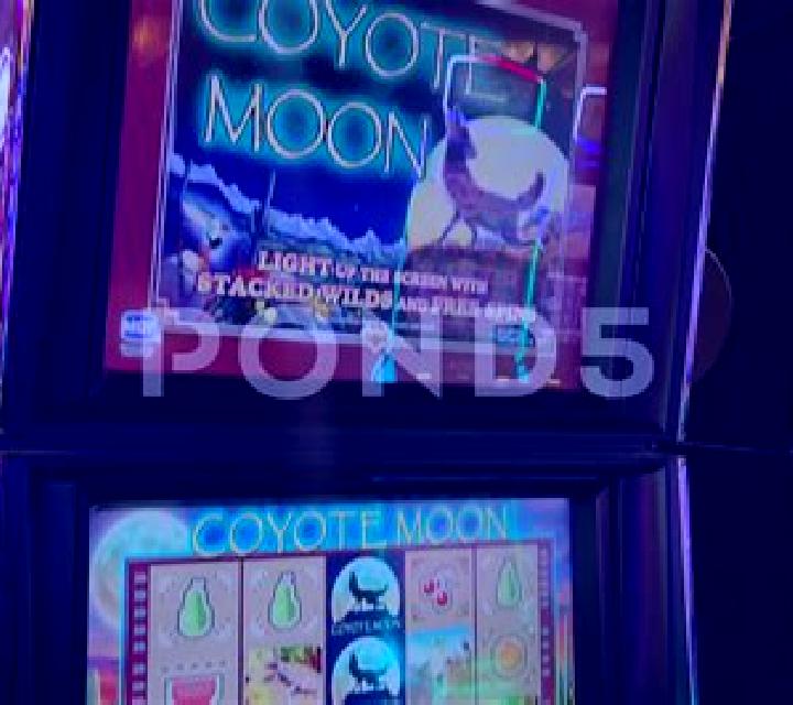 Mystic Moon (Casino Technology) slot machine