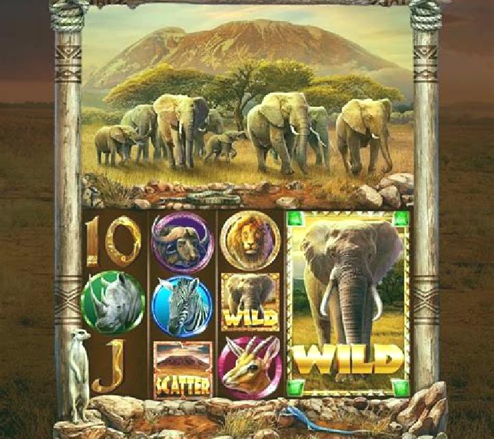 Nards King online slot