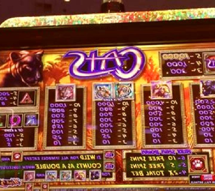 Natal Cats slot machine
