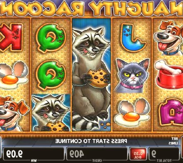 Naughty Racoon slot game