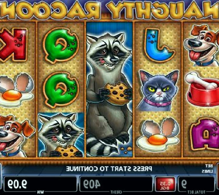 Naughty Racoon slot machine