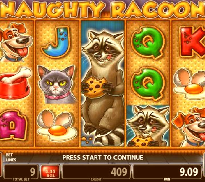 Naughty Racoon slot