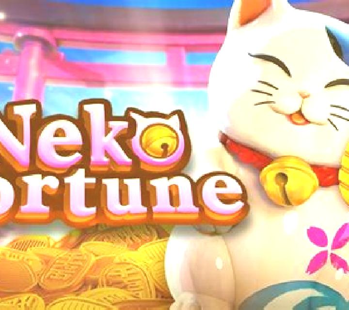 Neko Fortune slot game