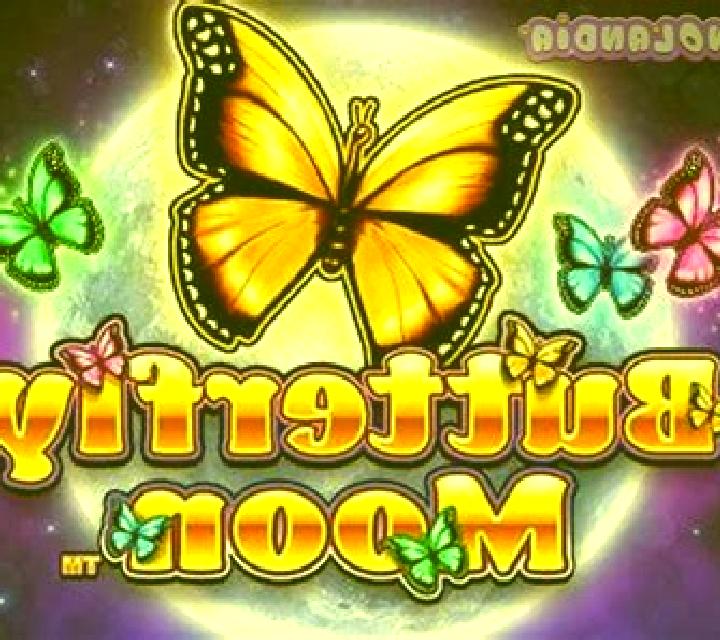 NIGHT BUTTERFLY FLIGHT slot game