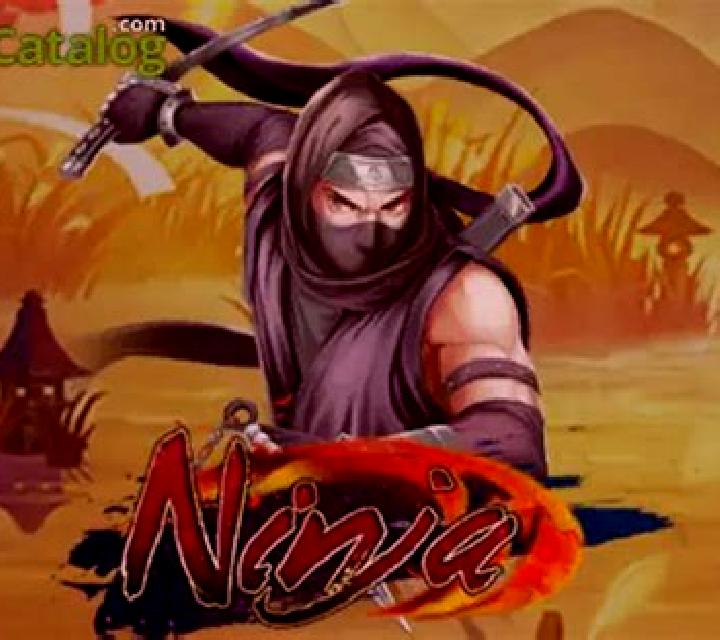 Ninja (Royal Slot Gaming) slot