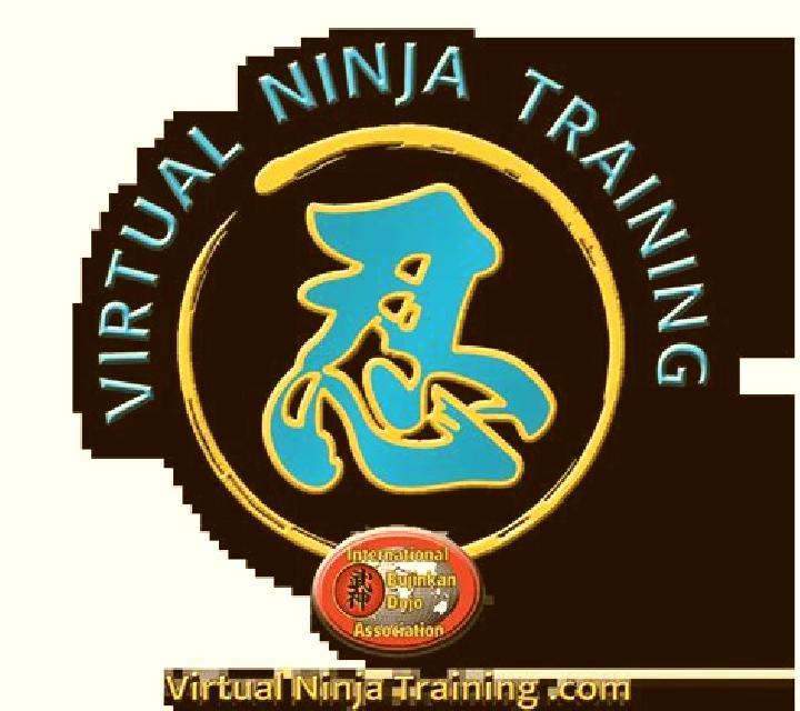 Ninja (Virtual Tech) online slot