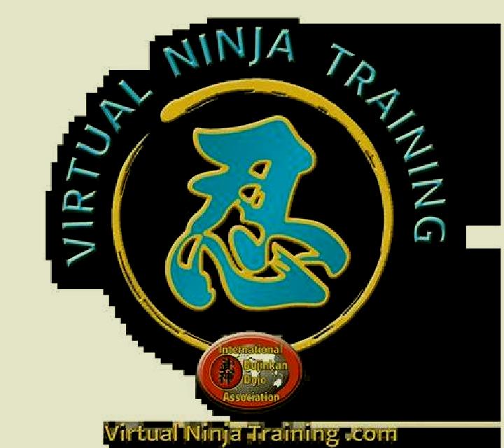 Ninja (Virtual Tech) slot