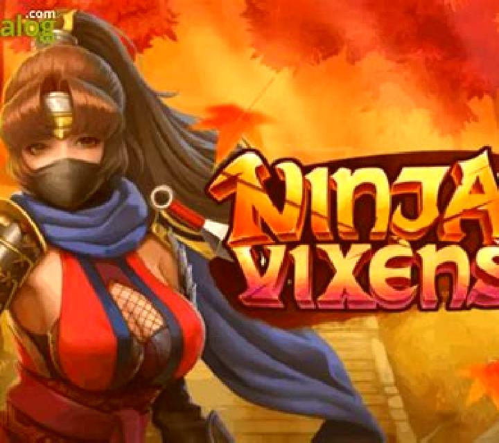 Ninja Vixens slot