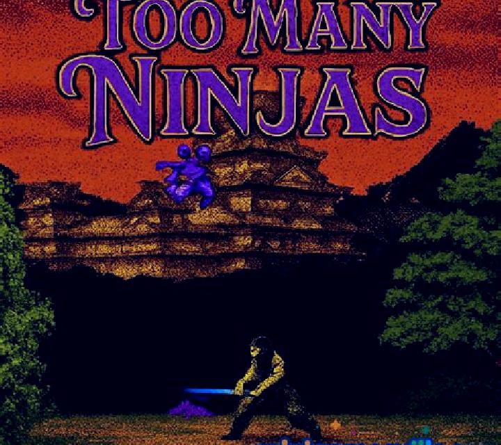 Ninja s Fortune online slot