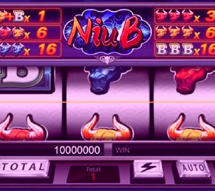 Niu B slot