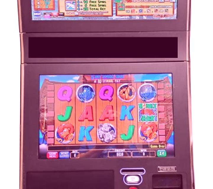 Noah s Ark (IGT) slot machine