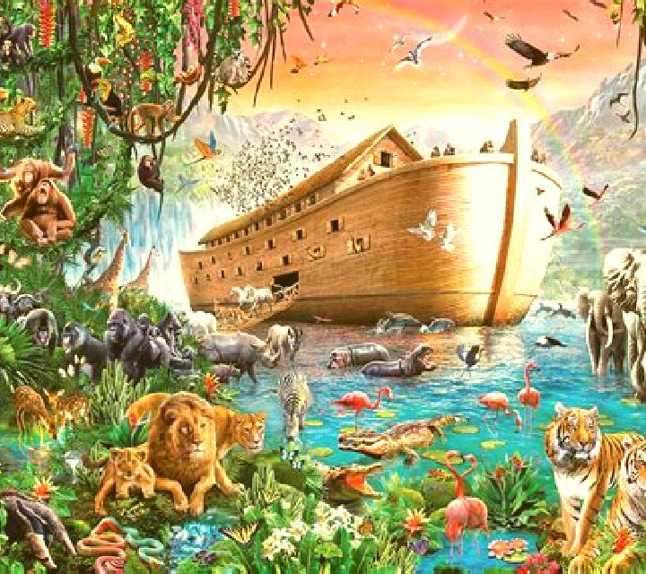 Noah s Ark (Spinoro) slot machine