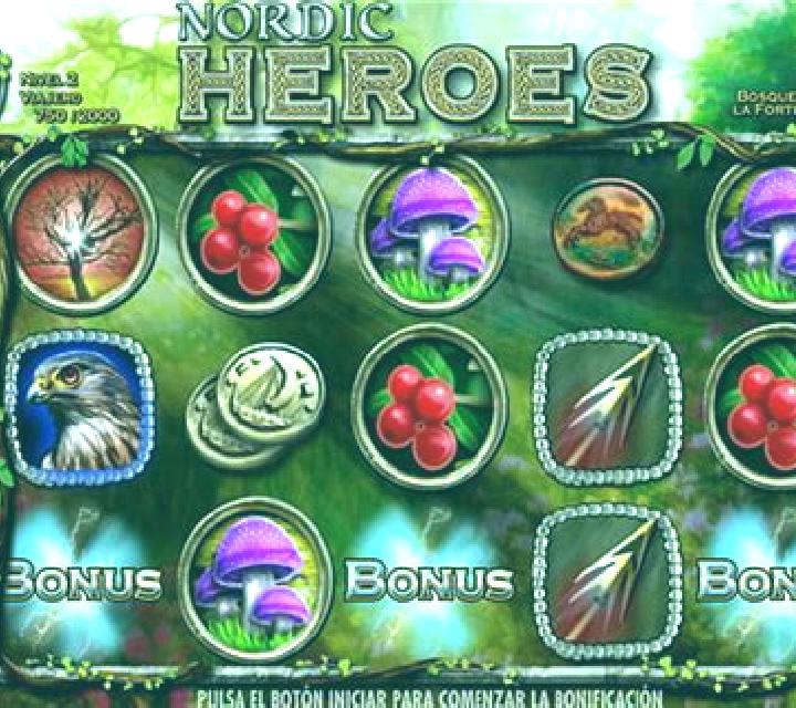 Nordic Heroes slot