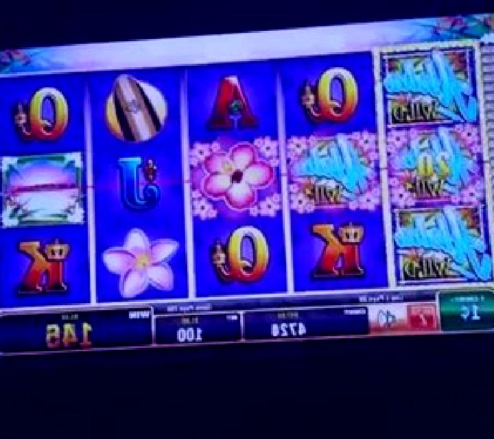 Northern Delight slot machine