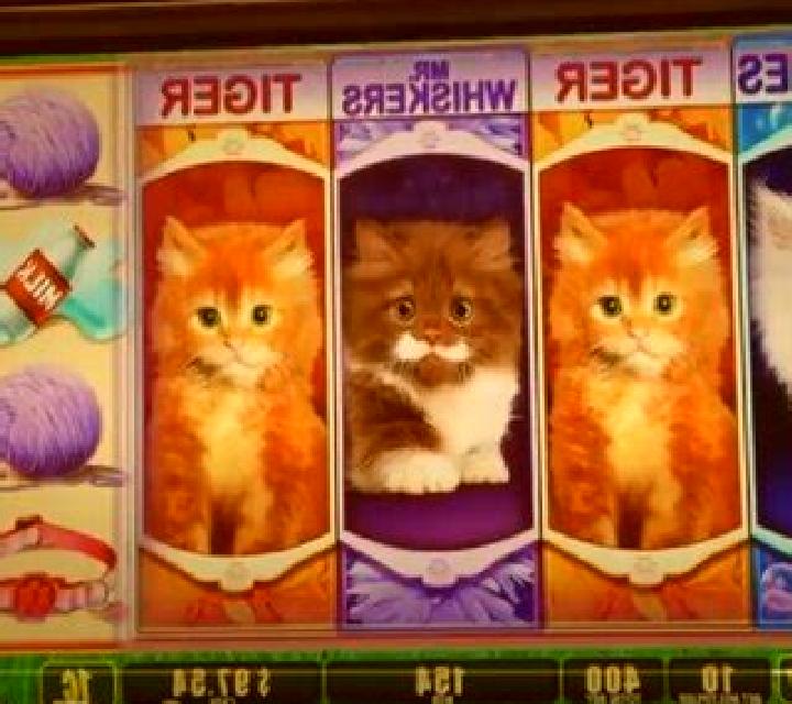 Not Enough Kittens slot machine