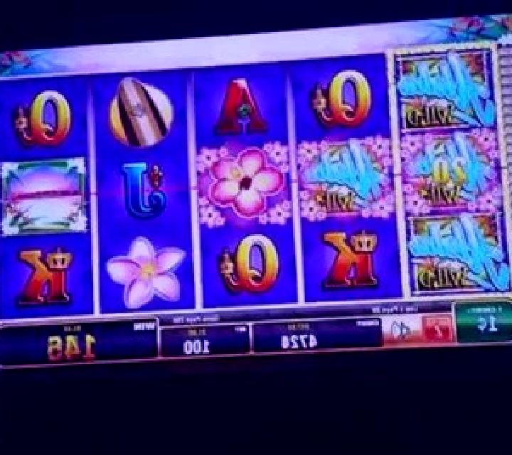 Ocean Delight slot machine