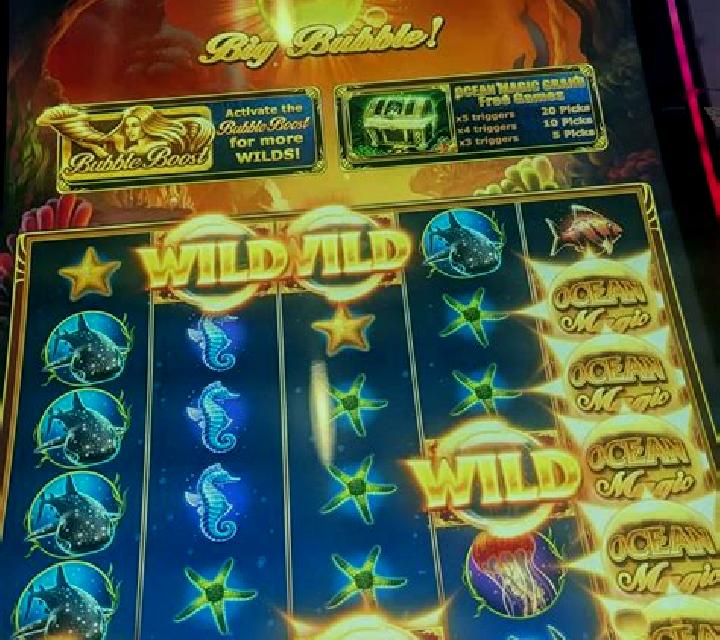 Ocean Park slot machine