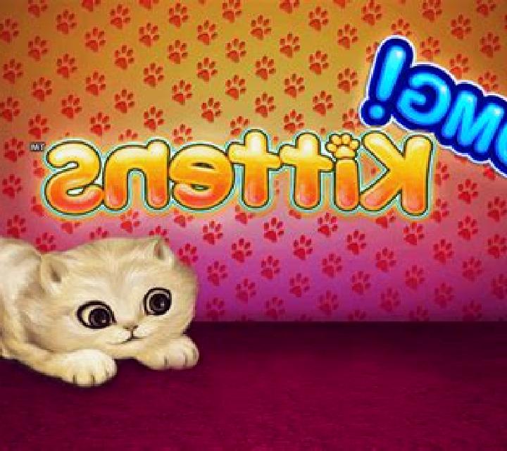 OMG! Kittens slot game