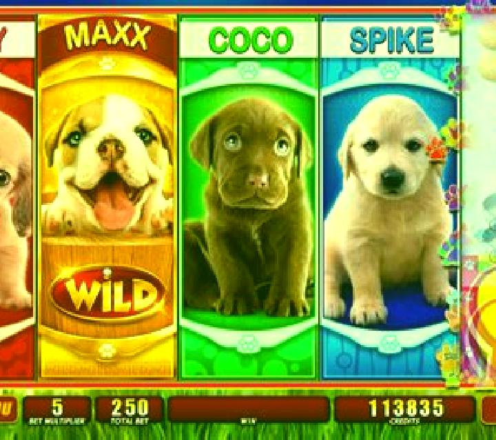 OMG! Puppies online slot