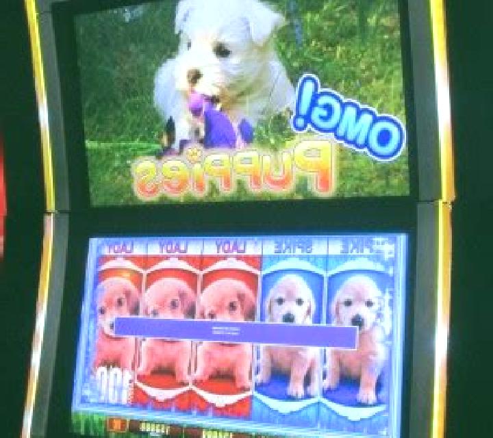 OMG! Puppies slot game