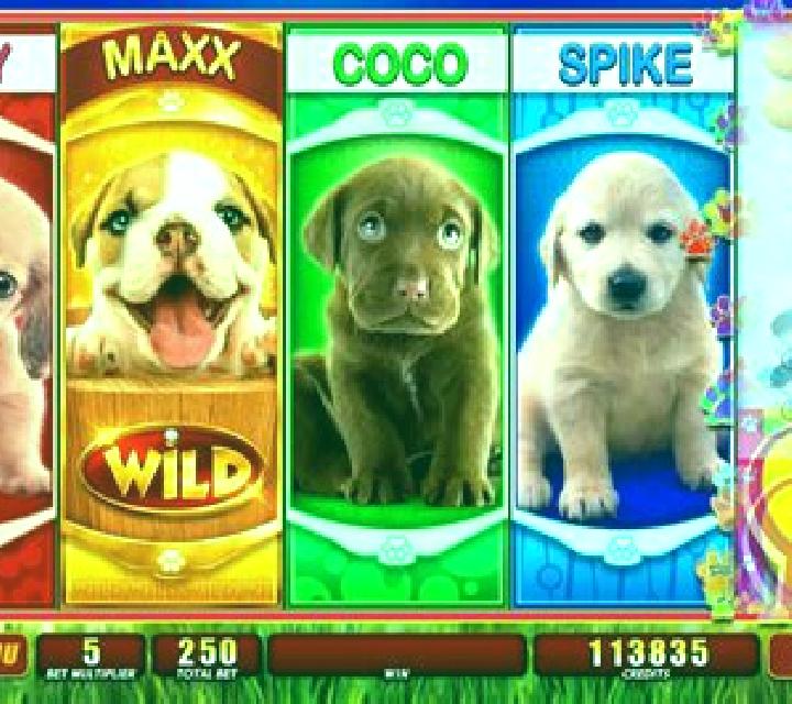 OMG! Puppies slot