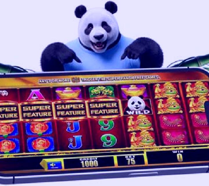 One Panda online slot