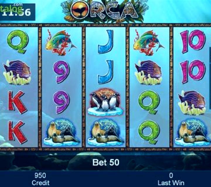 Orca (Greentube) slot