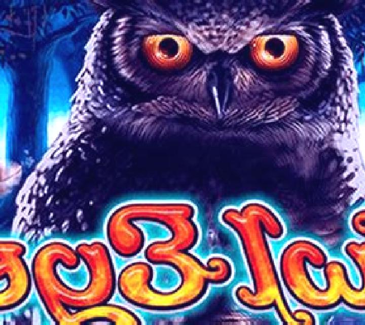 Owl Eyes slot game