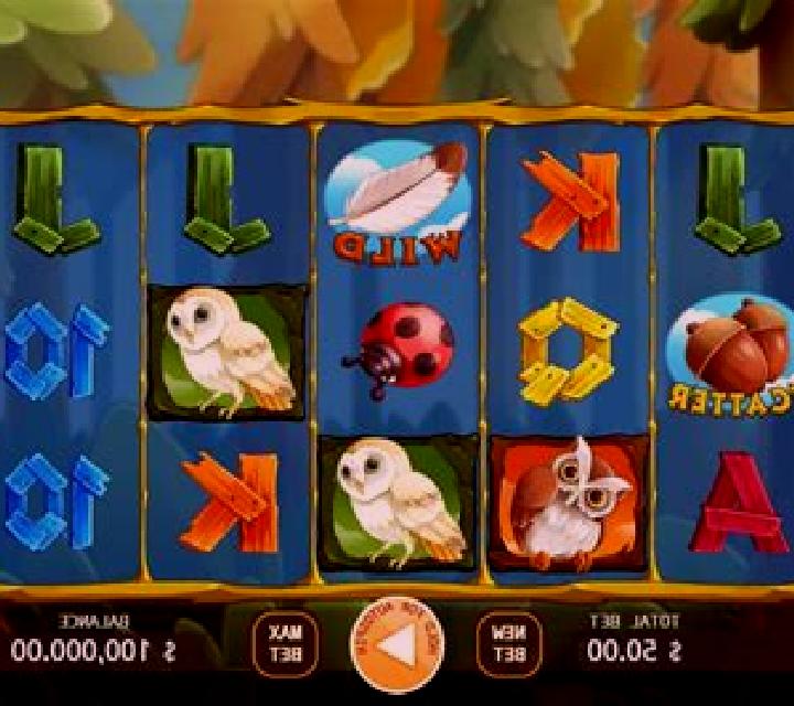 Owl In Forest slot