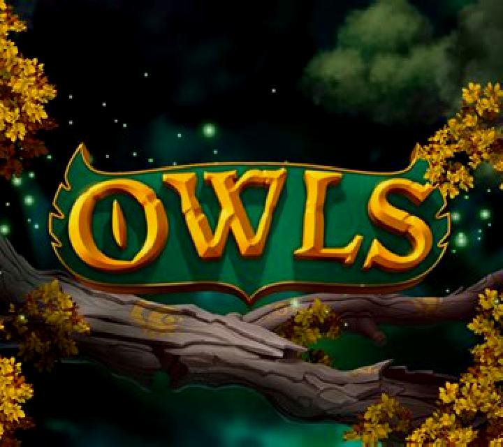 Owl s Magic slot game