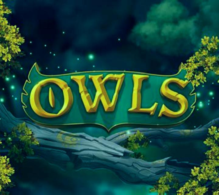 Owl s Magic slot machine