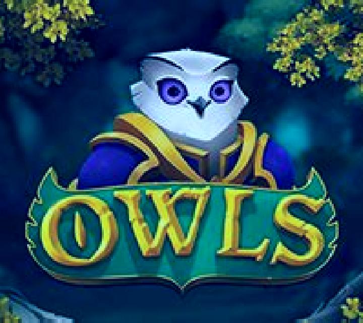 Owls slot