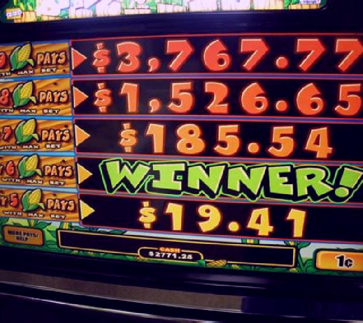 Pachamama slot machine